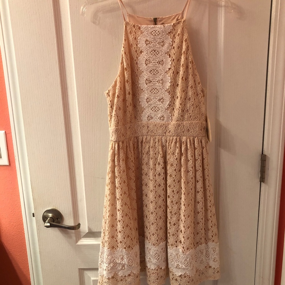 Alter’d State dress